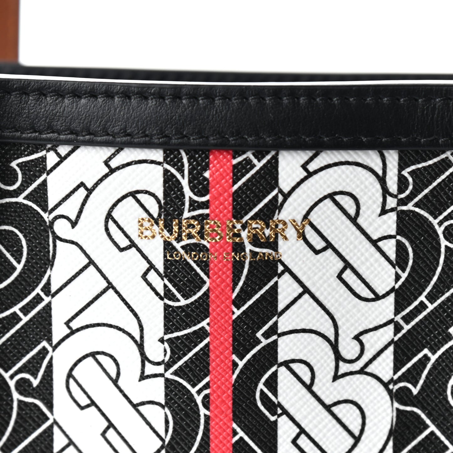 E-Canvas Monogram Stripe Portrait Tote Bag Bridle Brown