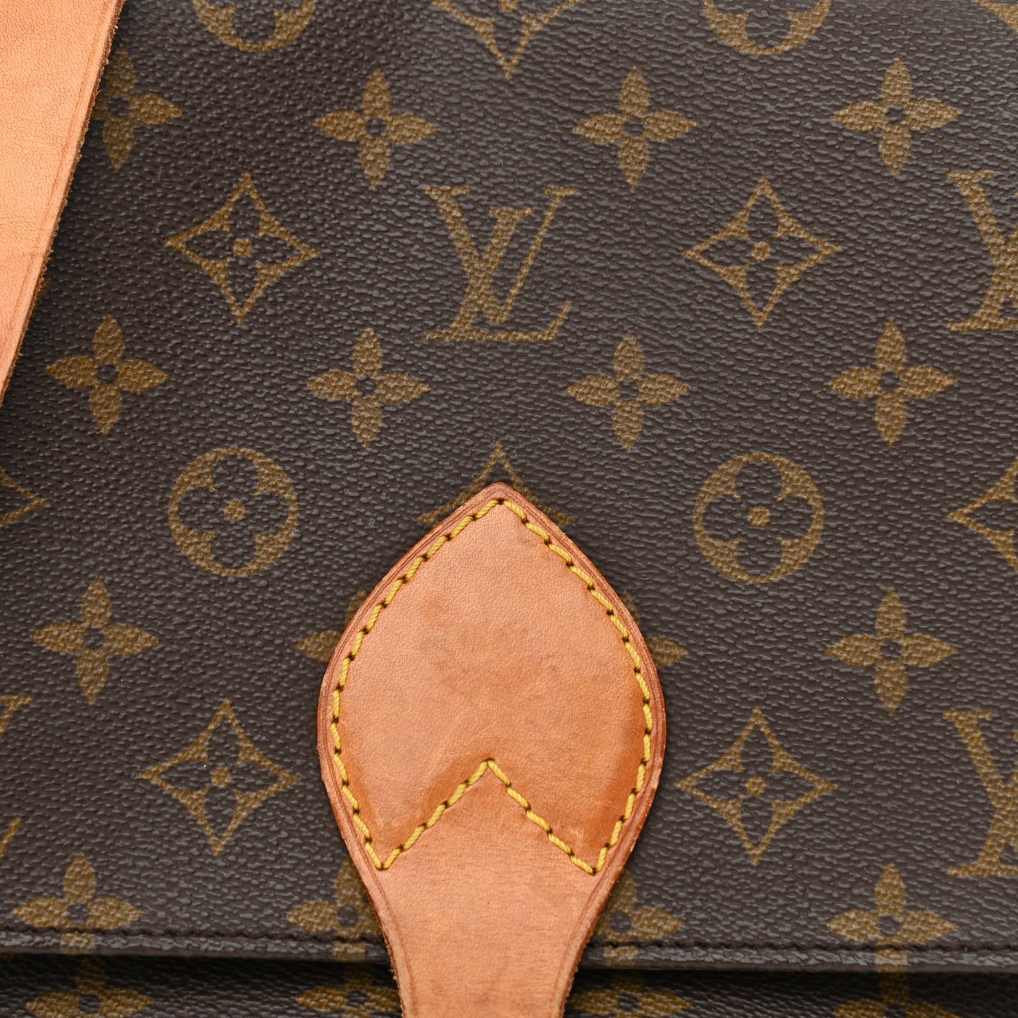 Monogram Cartouchiere 22