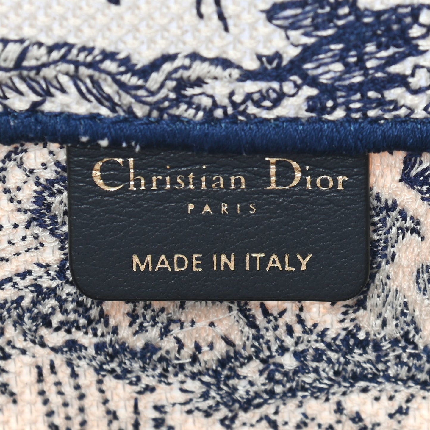 Canvas Embroidered Medium Dioriviera Toile De Jouy Book Tote Blue
