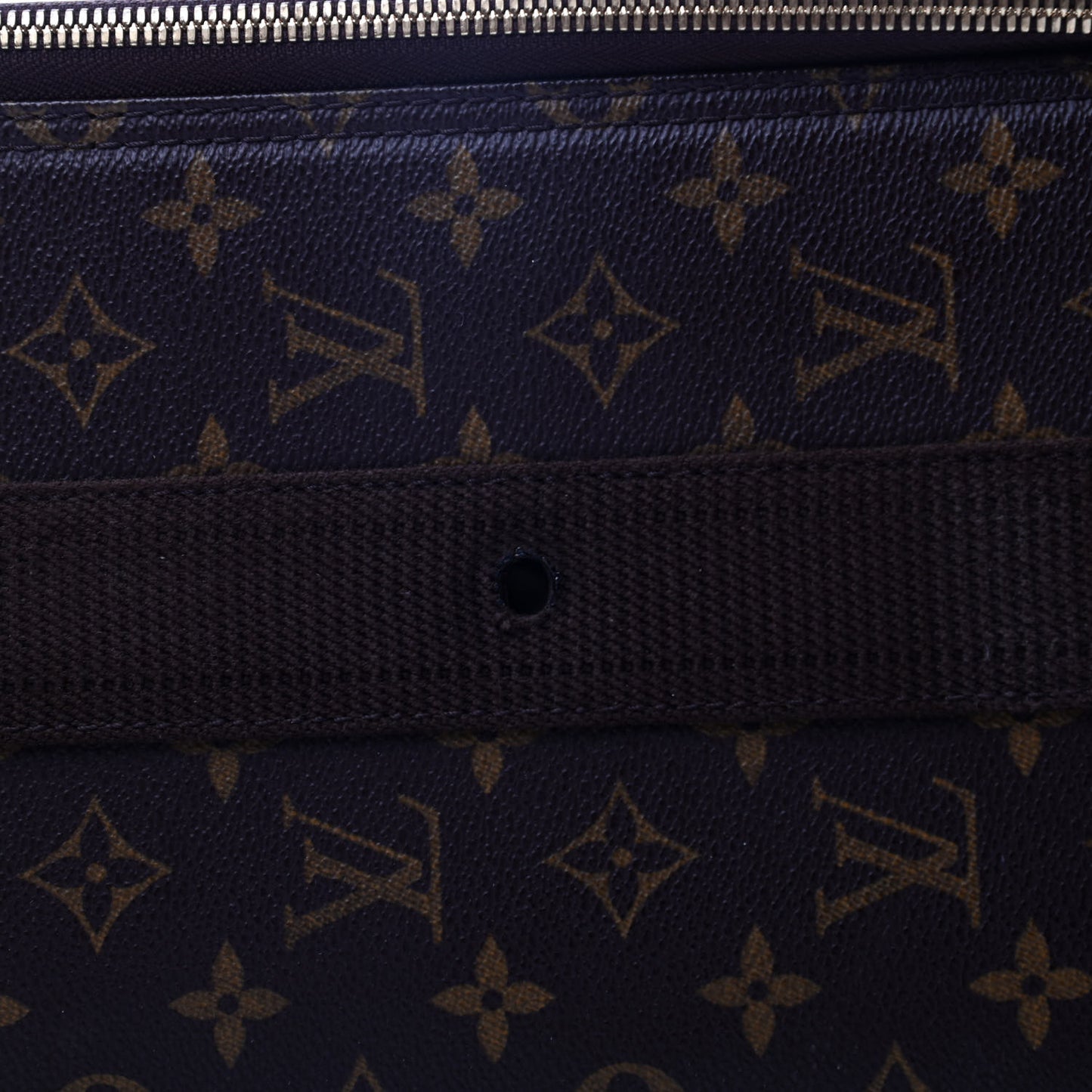 Monogram Pegase 55