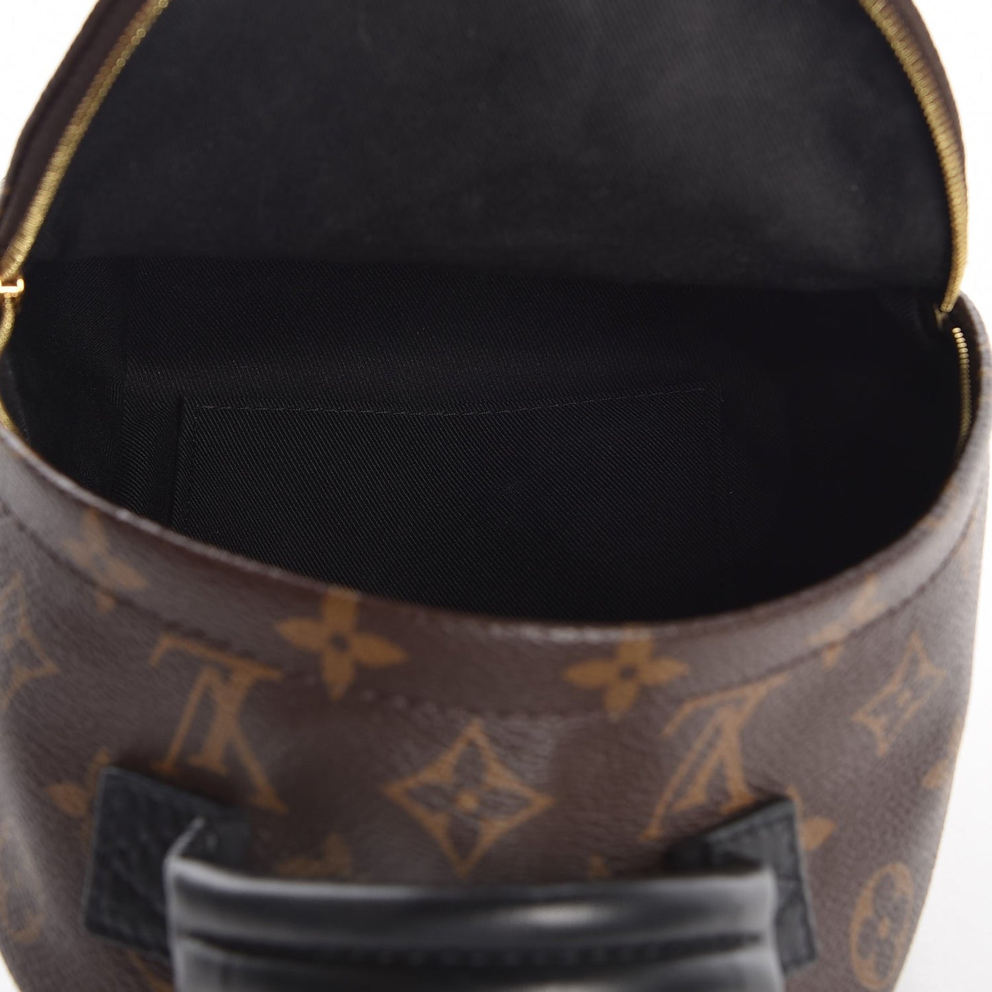 Monogram Palm Springs Backpack Mini