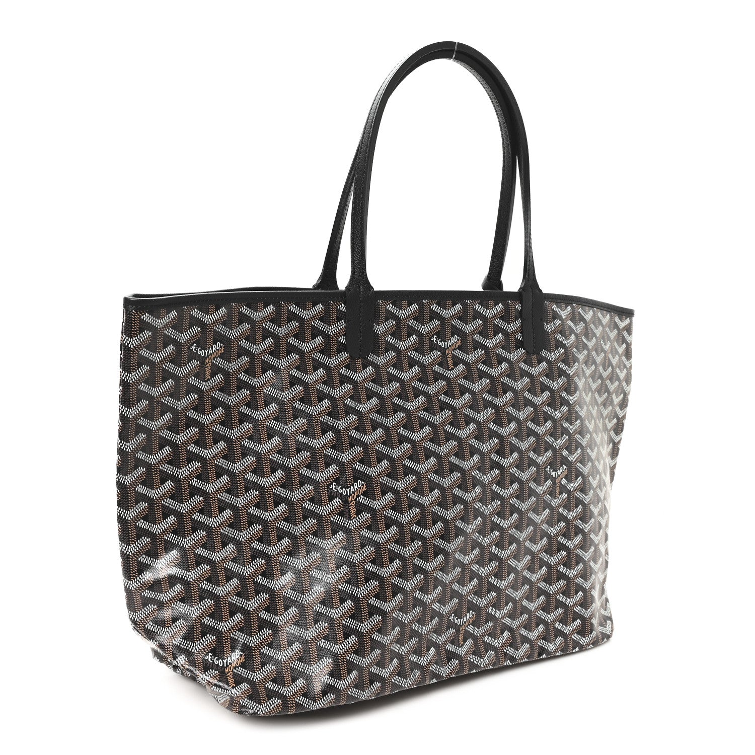Goyard Goyardine Saint Louis PM Black 4 of 11