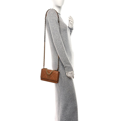 Chanel Lambskin Quilted Chanel 19 Wallet On Chain WOC Brown 2 of 12