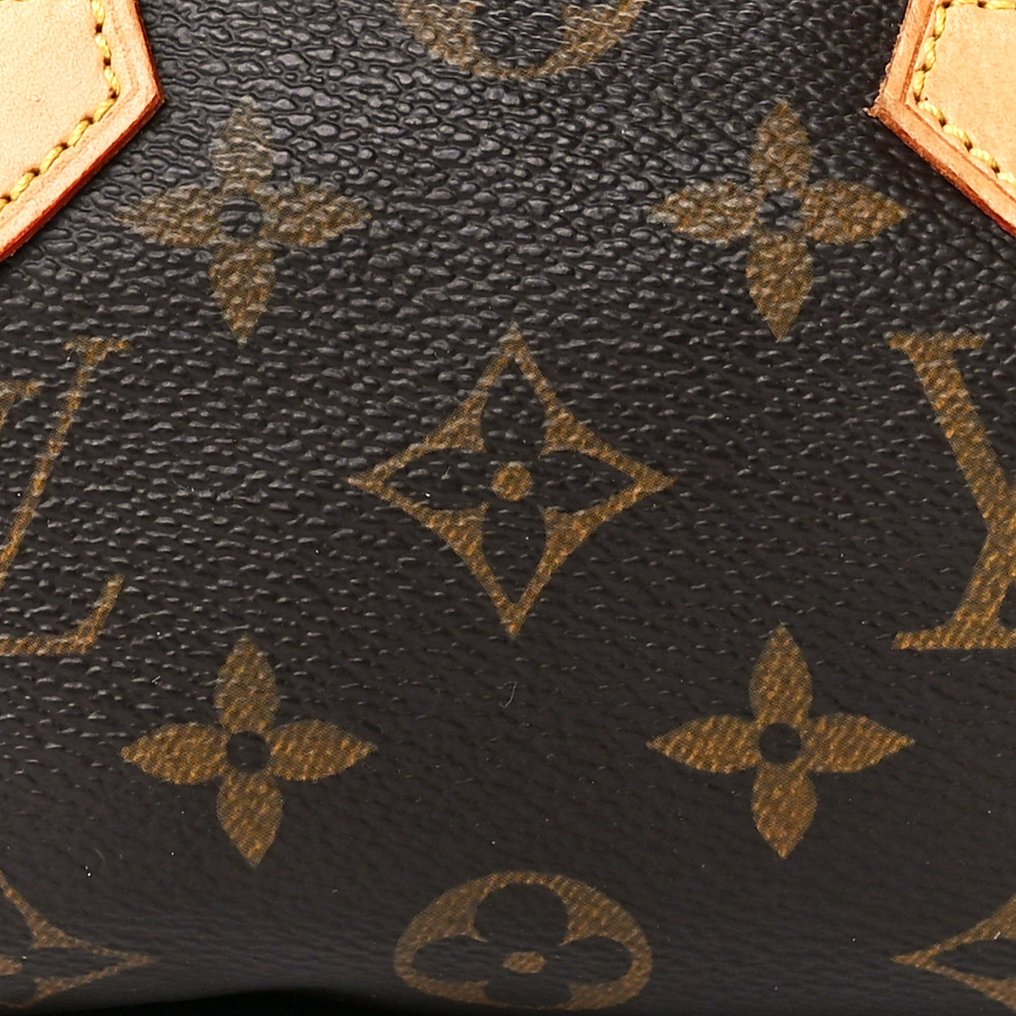 Monogram Mini Sac HL Speedy