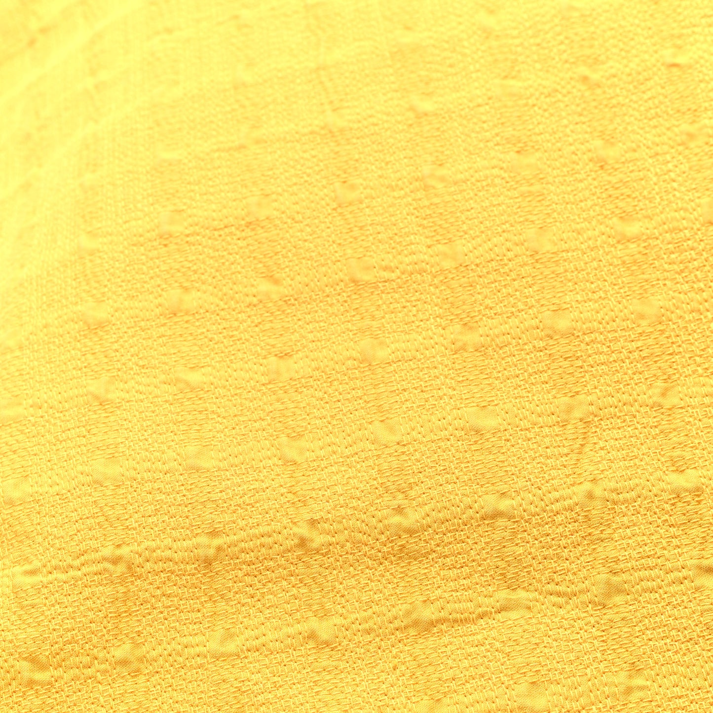 Canvas Ahmedabad Tote