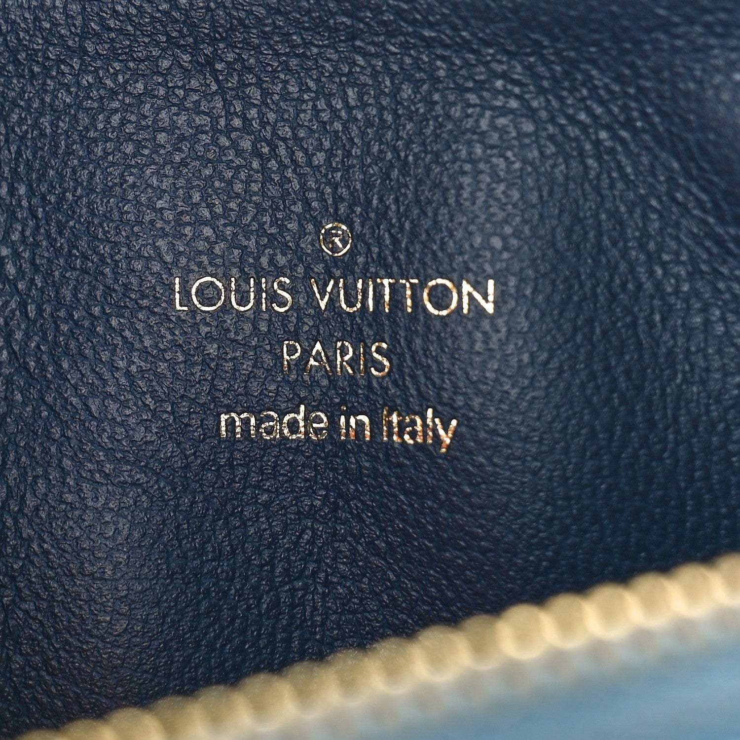 Louis Vuitton Lambskin Embossed Monogram Tricolor By The Pool Coussin BB Blue 6 of 9