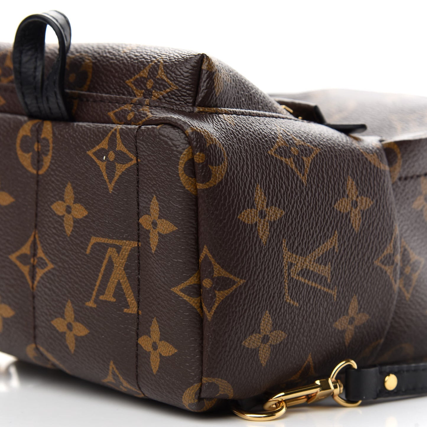 Monogram Palm Springs Backpack Mini