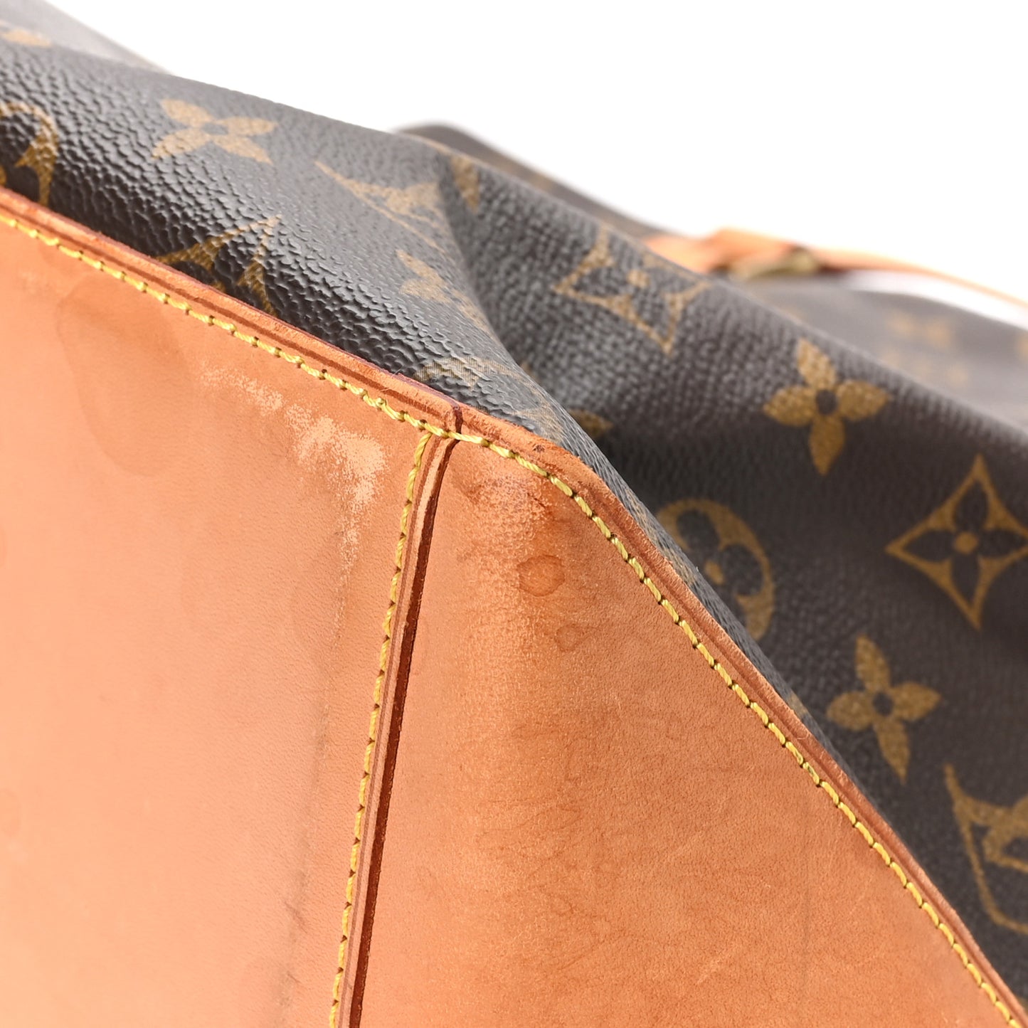 Monogram Cabas Mezzo
