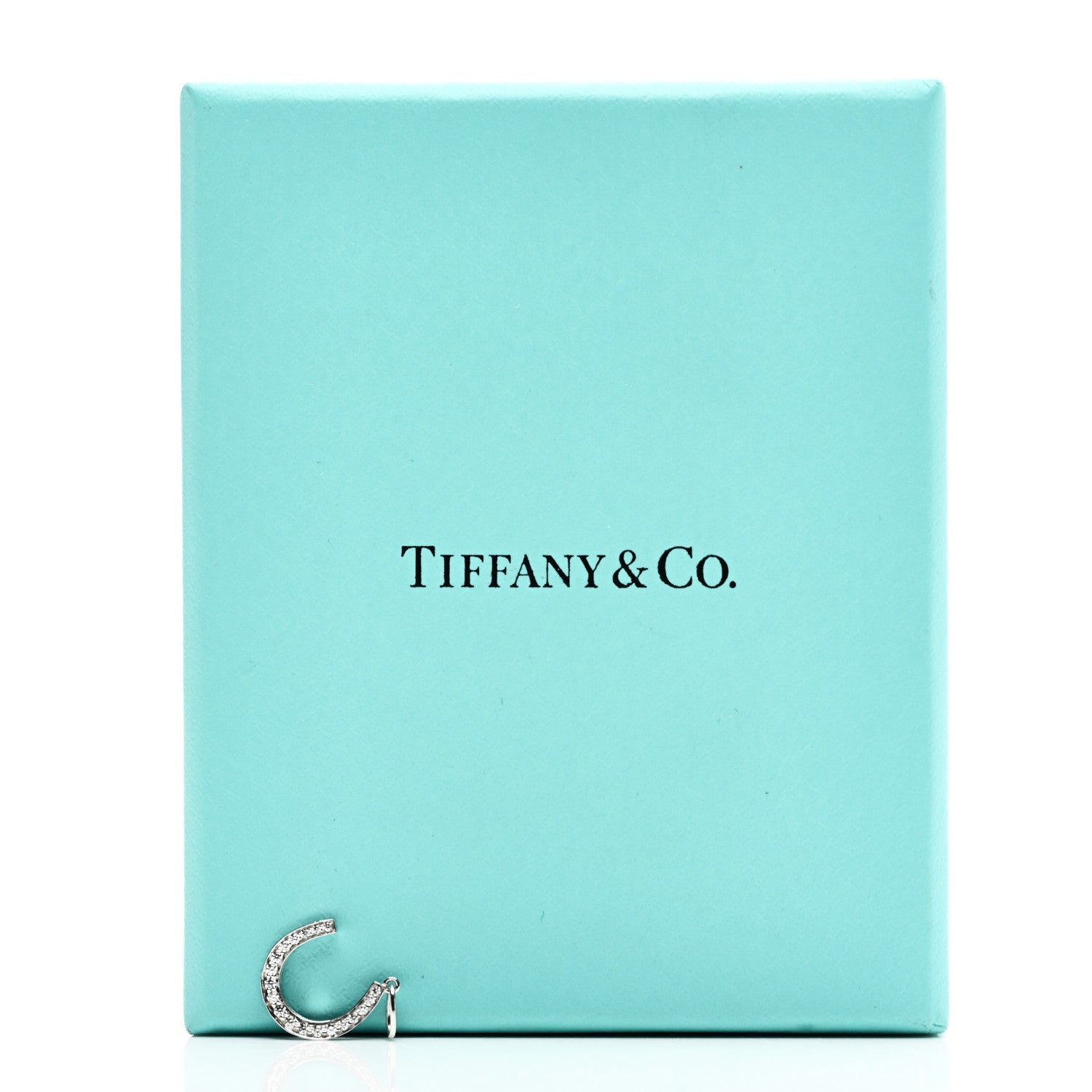 Tiffany Platinum Diamond Horseshoe Charm 5 of 5