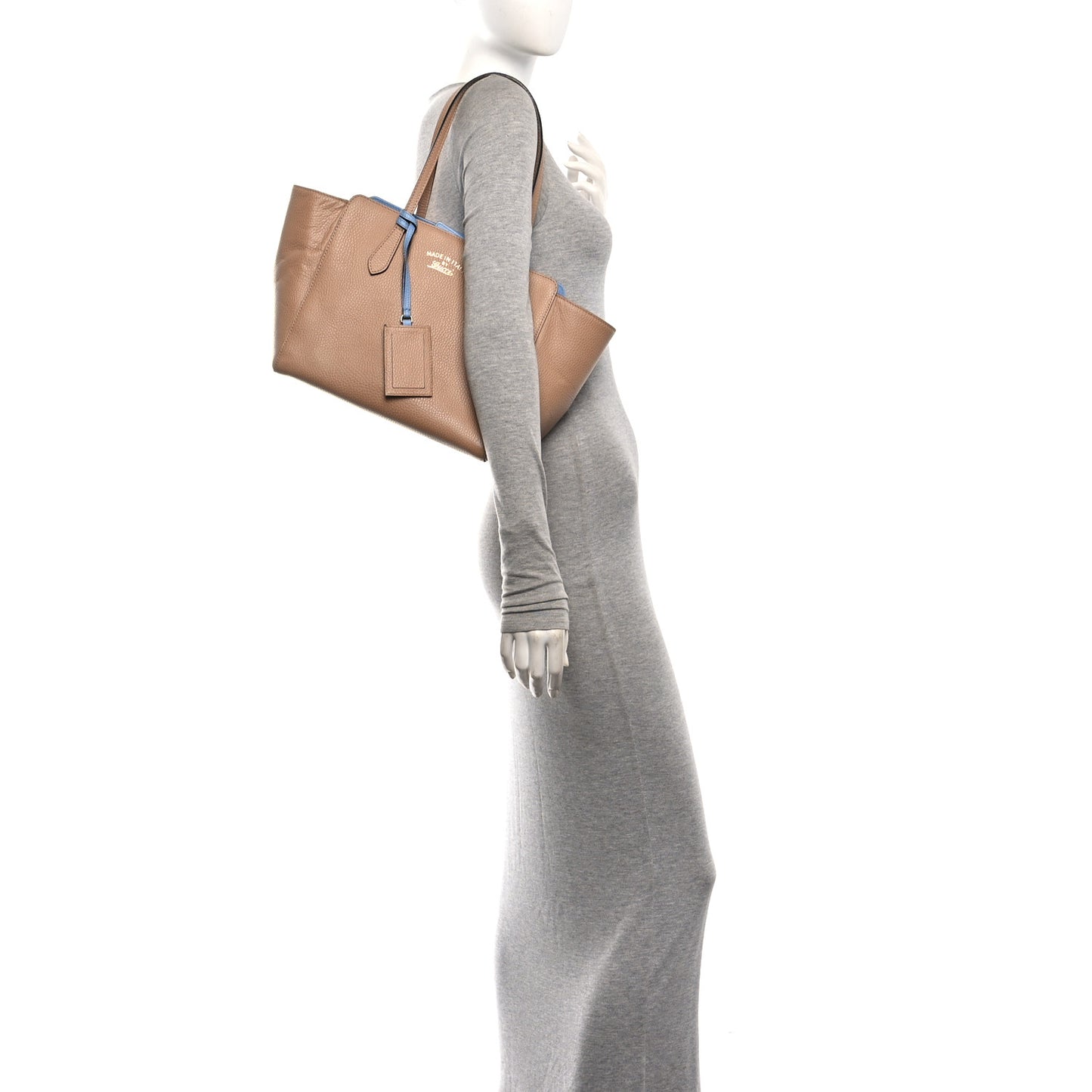 Dollar Calfskin Small Swing Tote Camelia Mineral Blue