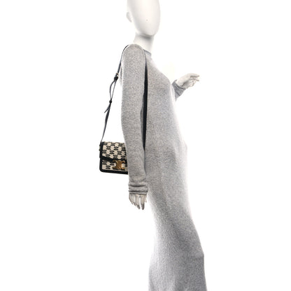 Celine Canvas Calfskin Triomphe Embroidered Teen Triomphe Bag Black 2 of 11