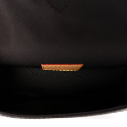 Louis Vuitton Monogram Nano Diane 5 of 9