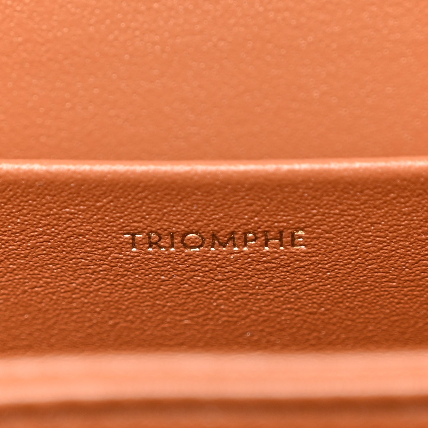 Triomphe Canvas Calfskin Medium Triomphe Bag Tan