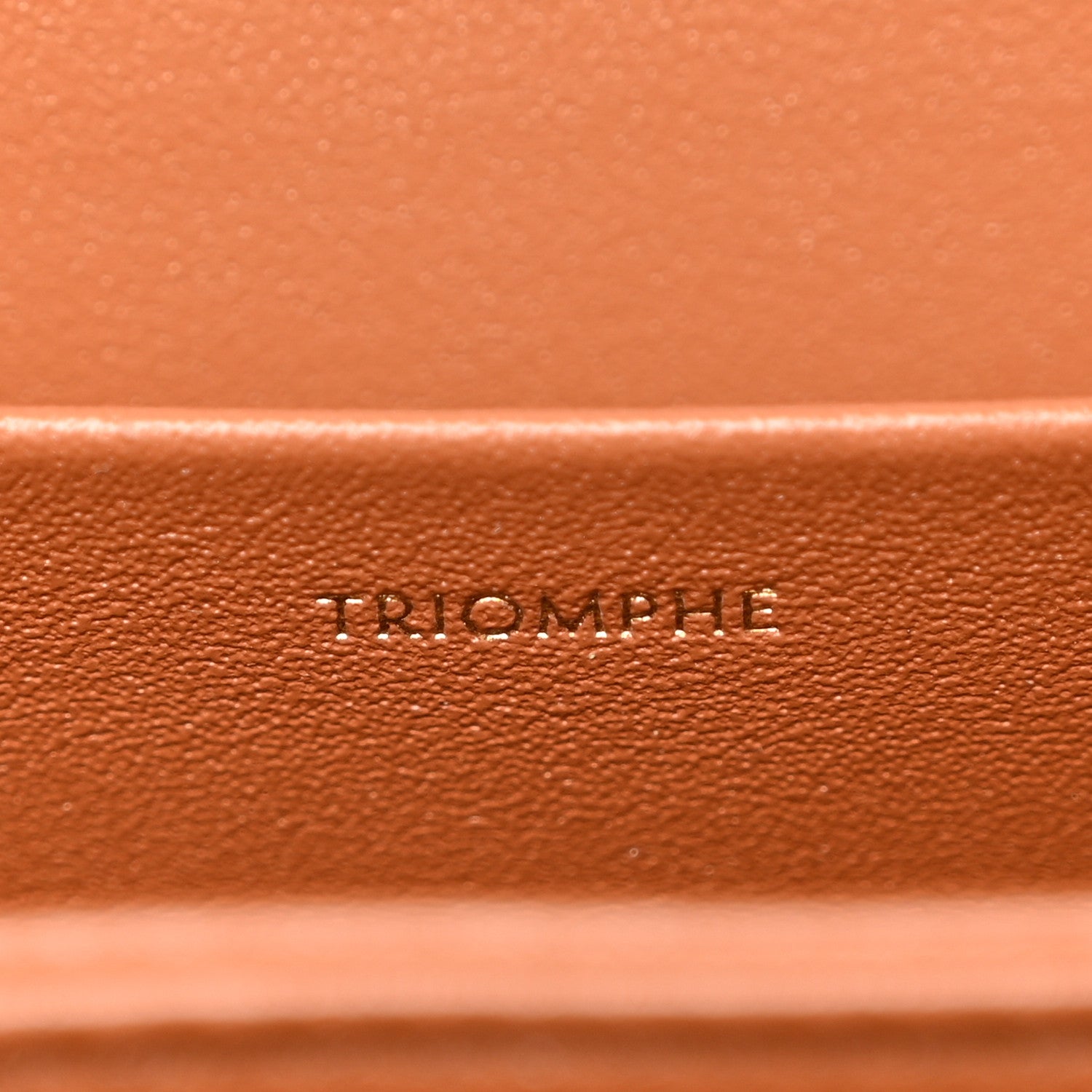 Celine Triomphe Canvas Calfskin Medium Triomphe Bag Tan 6 of 10