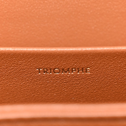 Celine Triomphe Canvas Calfskin Medium Triomphe Bag Tan 6 of 10
