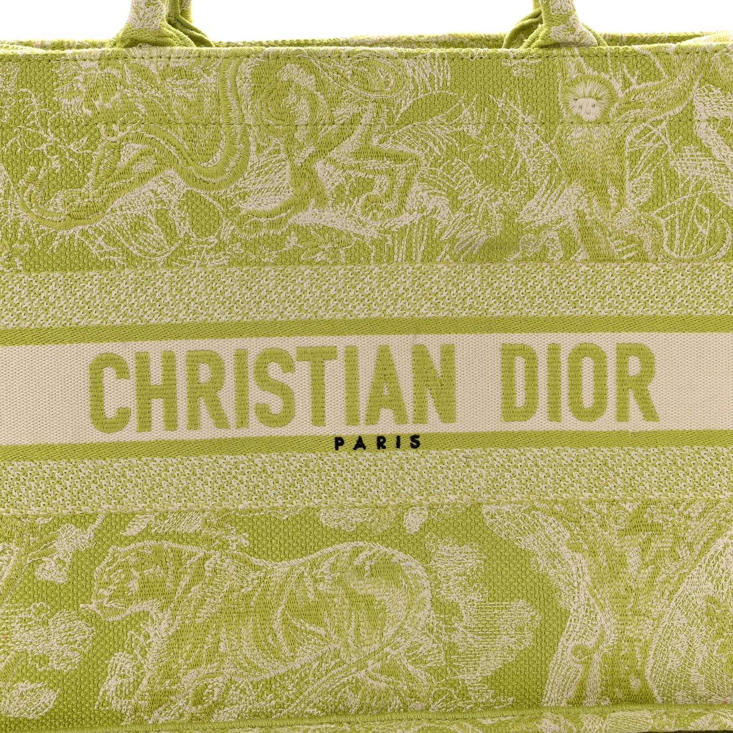 Canvas Embroidered Medium Dioriviera Toile De Jouy Book Tote D-Lite Green