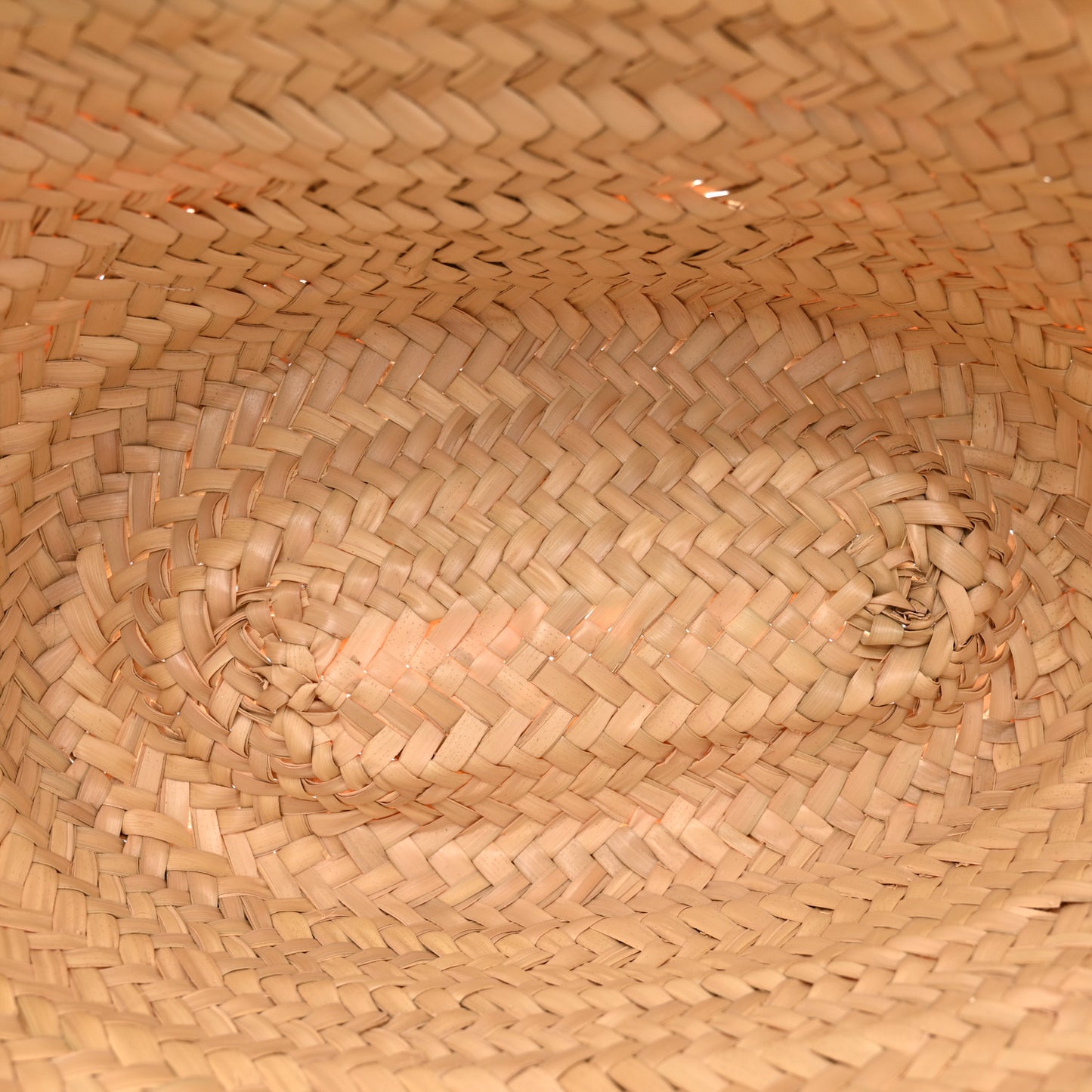 Palm Leaf Calfskin Triomphe Teen Panier Tan