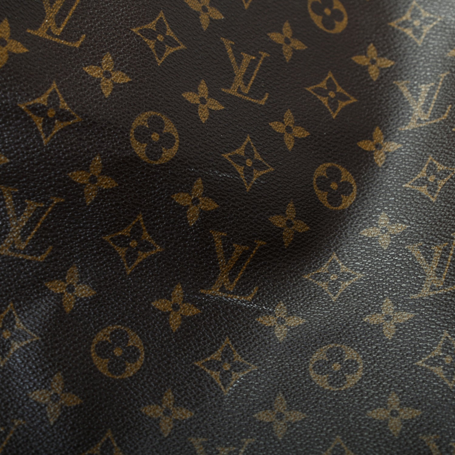 Louis Vuitton Monogram Garment Cover 8 of 9