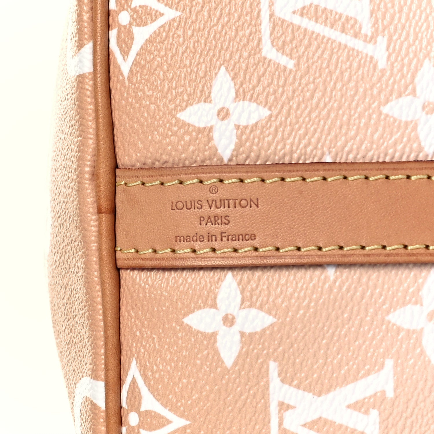 Louis Vuitton Monogram Giant By The Pool Speedy Bandouliere 25 Brume 7 of 10