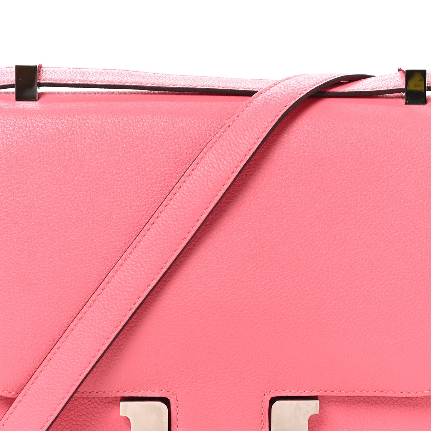 Evercolor Constance 24 Rose Azalee