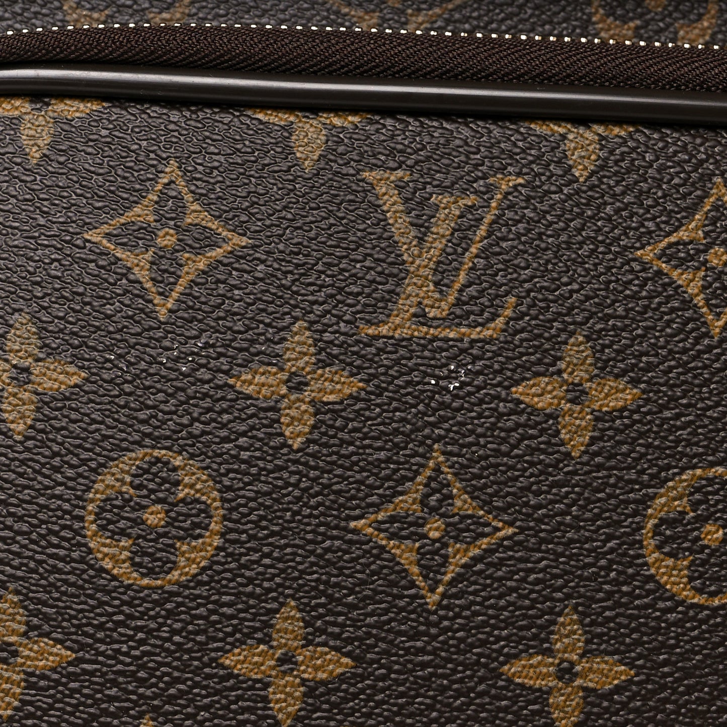 Monogram Pegase 55 Business
