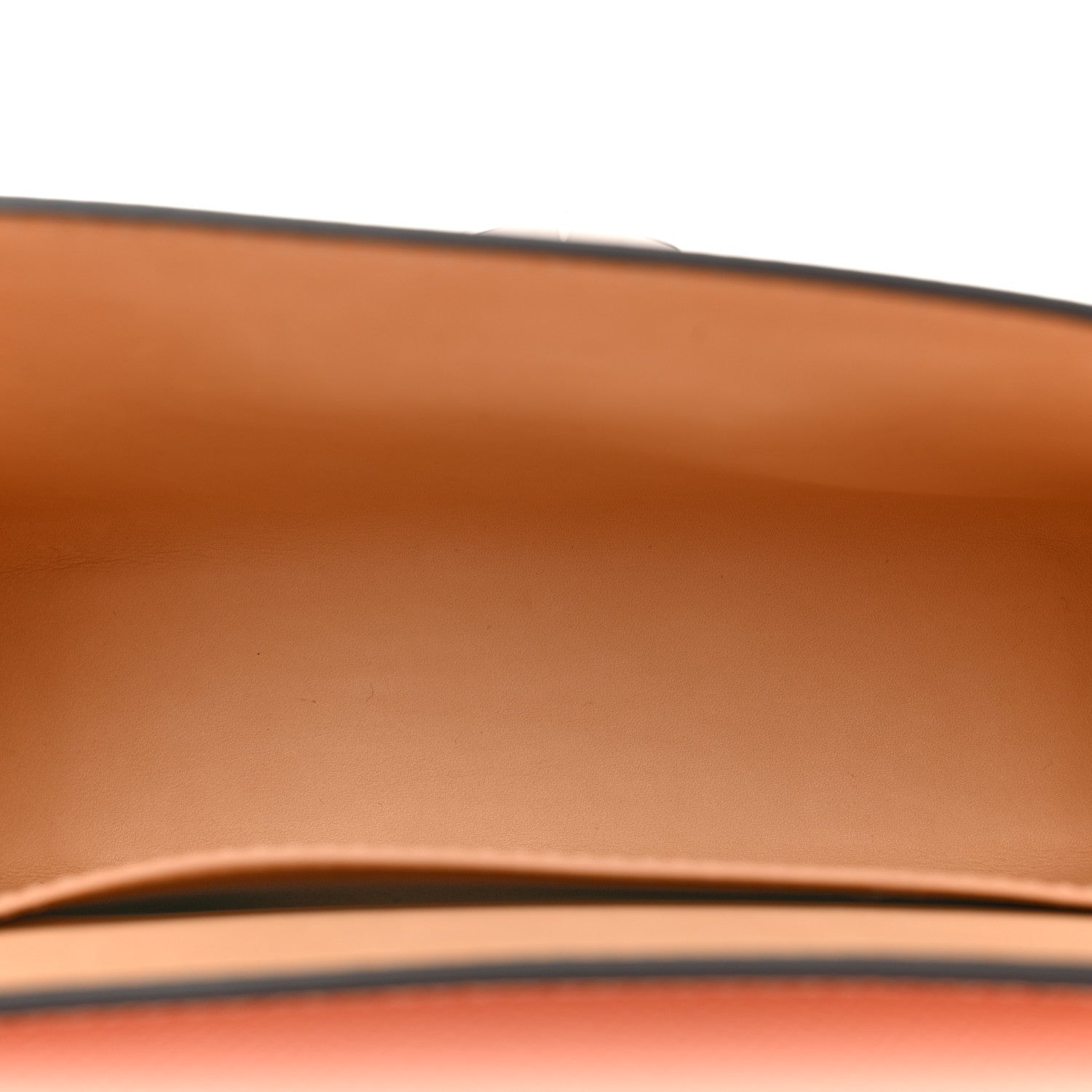 Moynat Carat Calfskin Gabrielle Reporter Shoulder Bag Petal 5 of 9