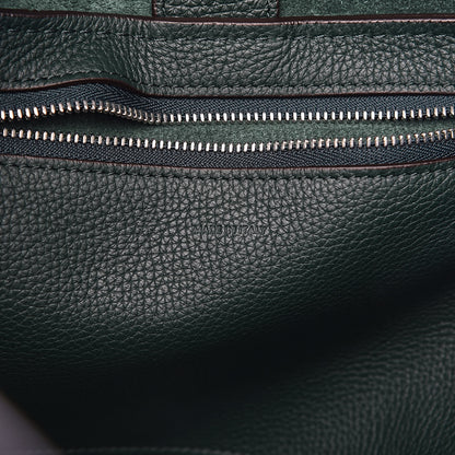 Celine Supple Grained Calfskin Small Big Bag Amazone 6 of 10