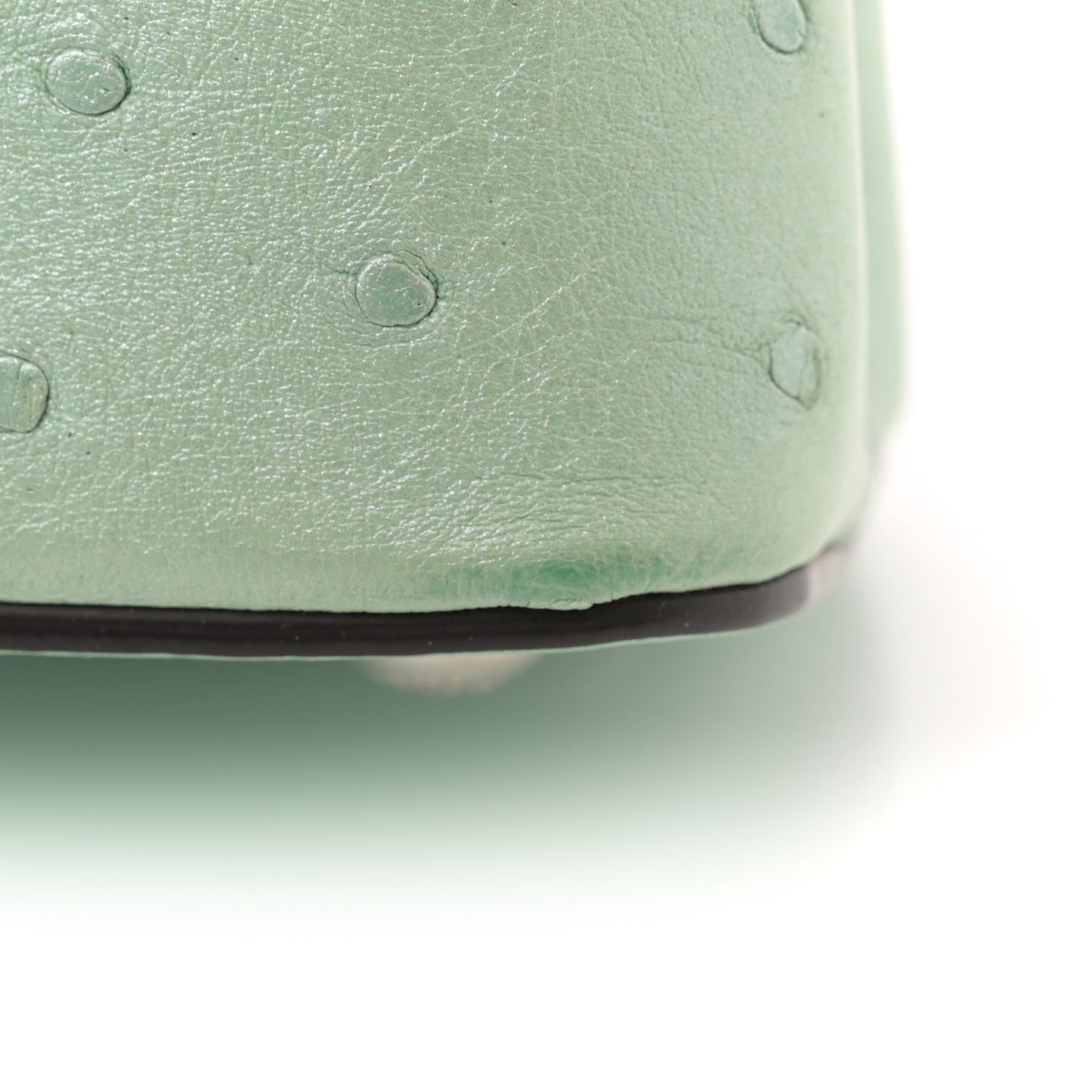 Iridescent Ostrich Capucines Mini Vert d’Eau