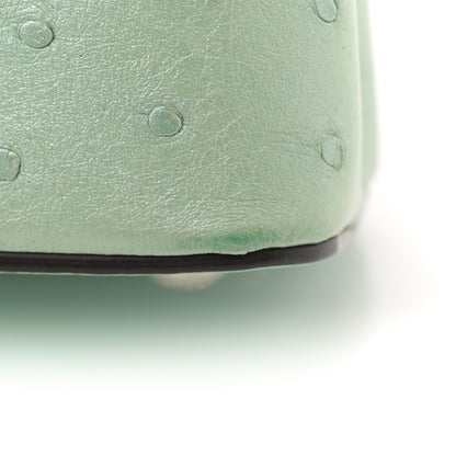 Louis Vuitton Iridescent Ostrich Capucines Mini Vert d’Eau 10 of 13