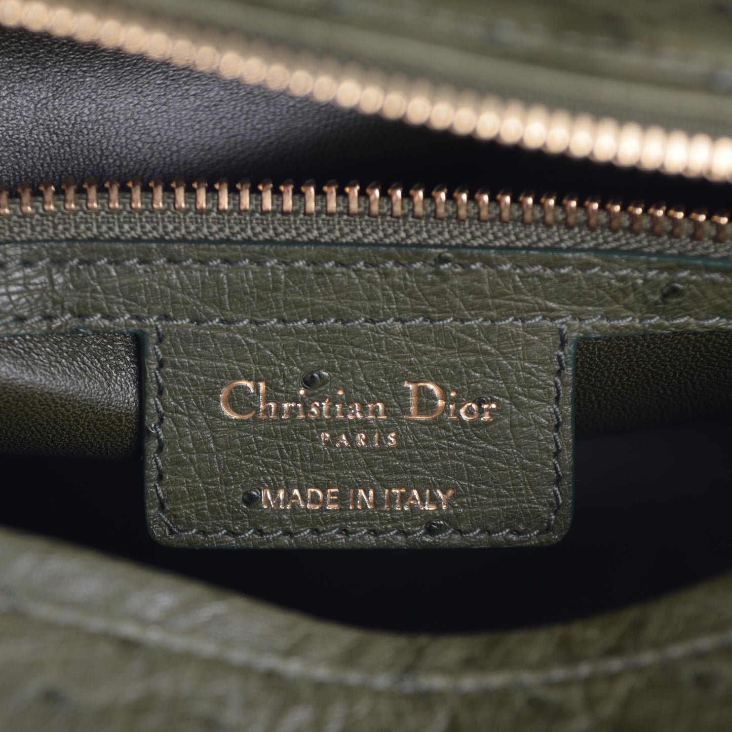 Ostrich Large Lady Dior Green