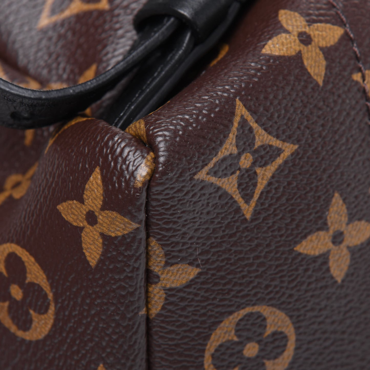 Monogram Palm Springs Backpack PM