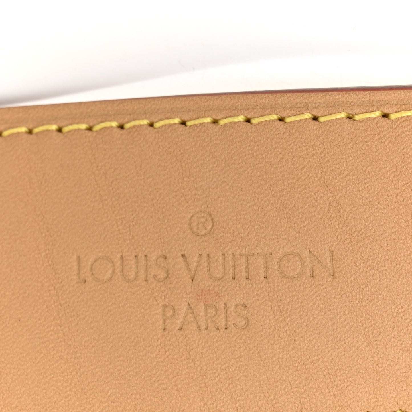 Monogram Carryall MM