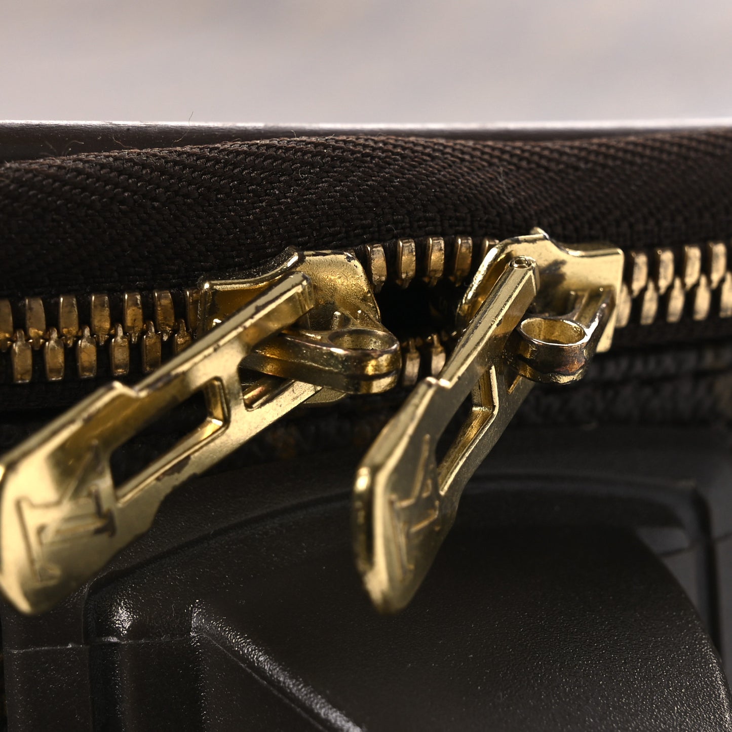 Monogram Pegase 55
