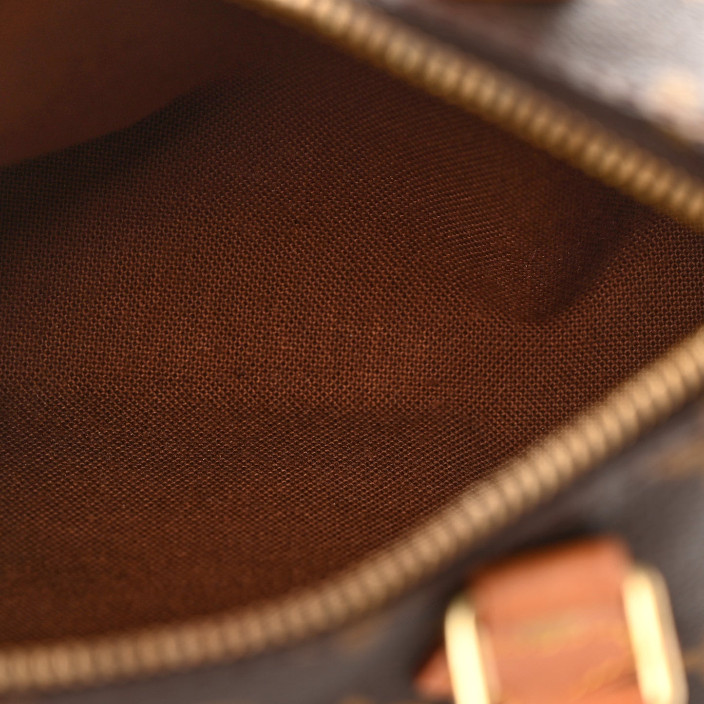 Monogram Mini Sac HL Speedy