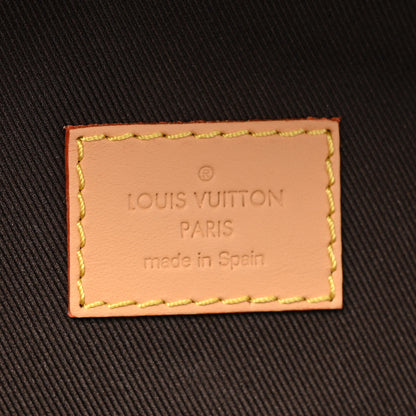 Louis Vuitton X TYLER THE CREATOR Monogram Craggy Rush Bumbag 6 of 11