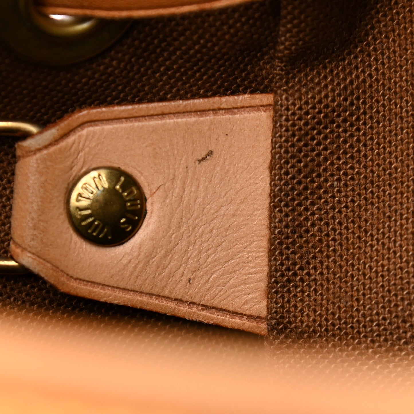 Monogram Montsouris GM Backpack