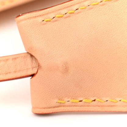 Louis Vuitton Monogram Alma PM 11 of 14