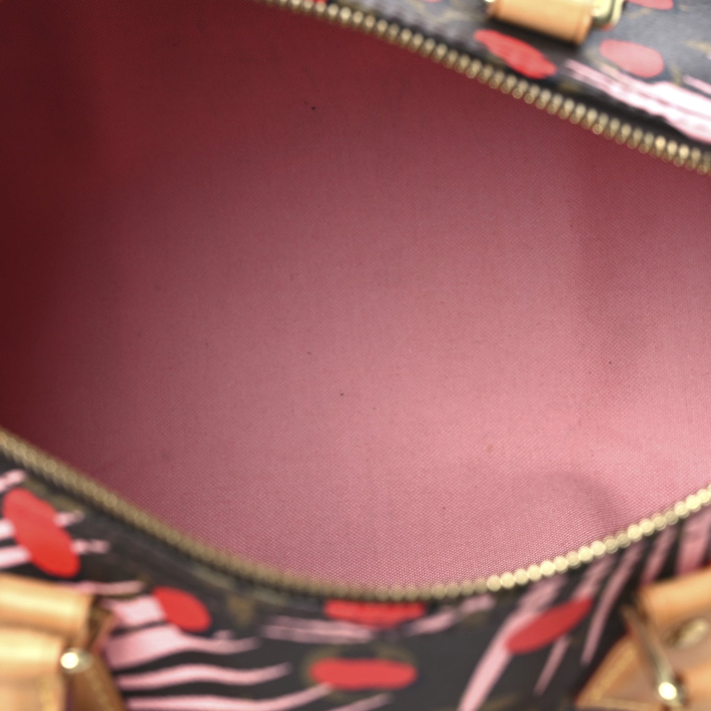 Monogram Jungle Dots Speedy 30 Sugar Pink Poppy