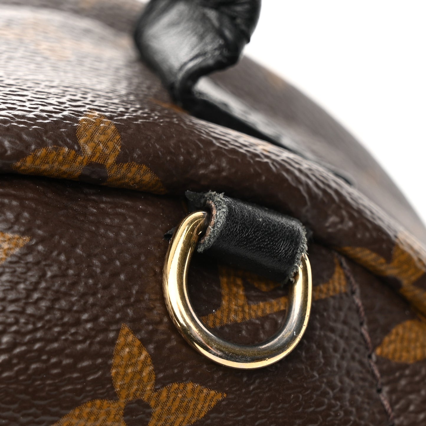 Monogram Palm Springs Backpack Mini