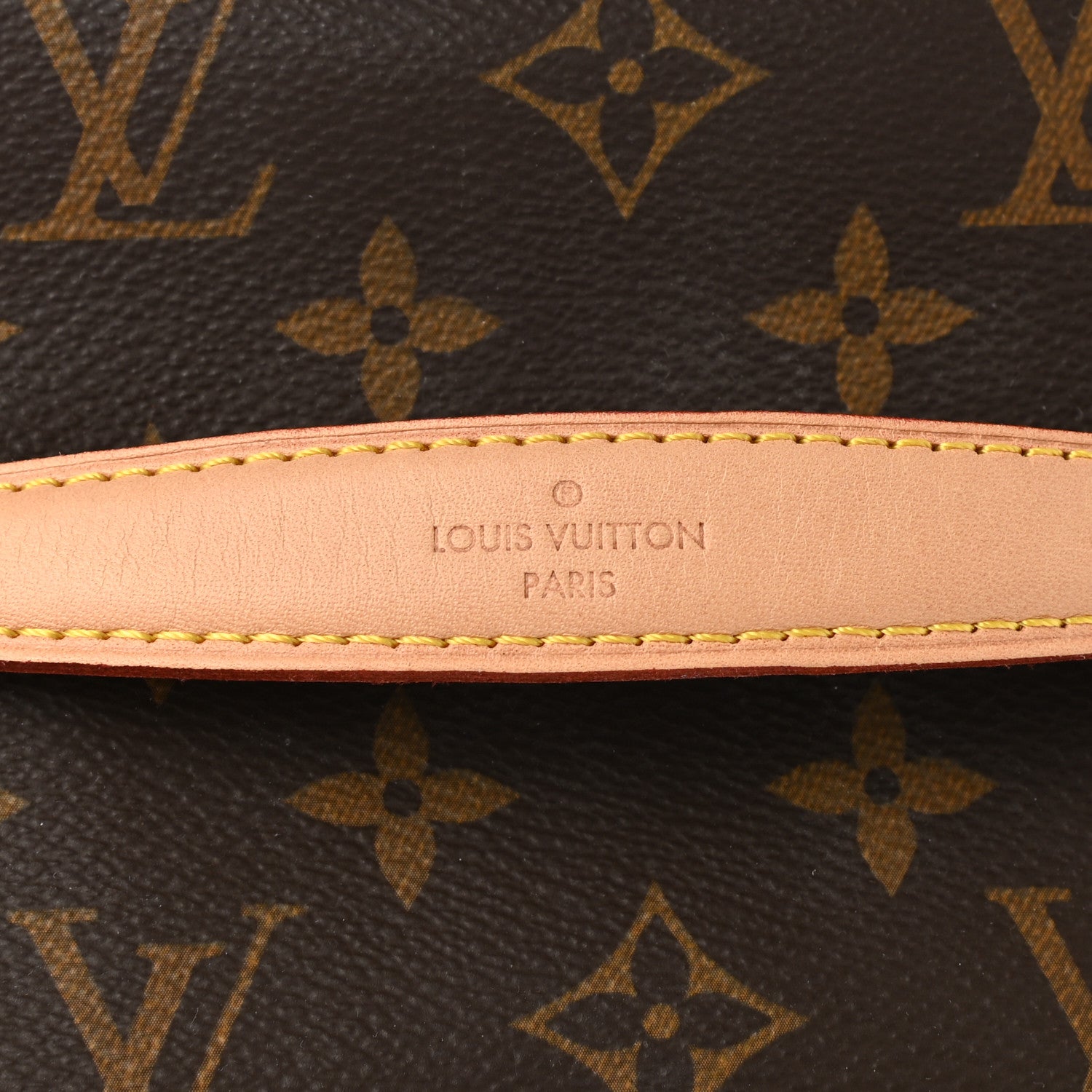 Louis Vuitton Monogram Nice Mini 7 of 8