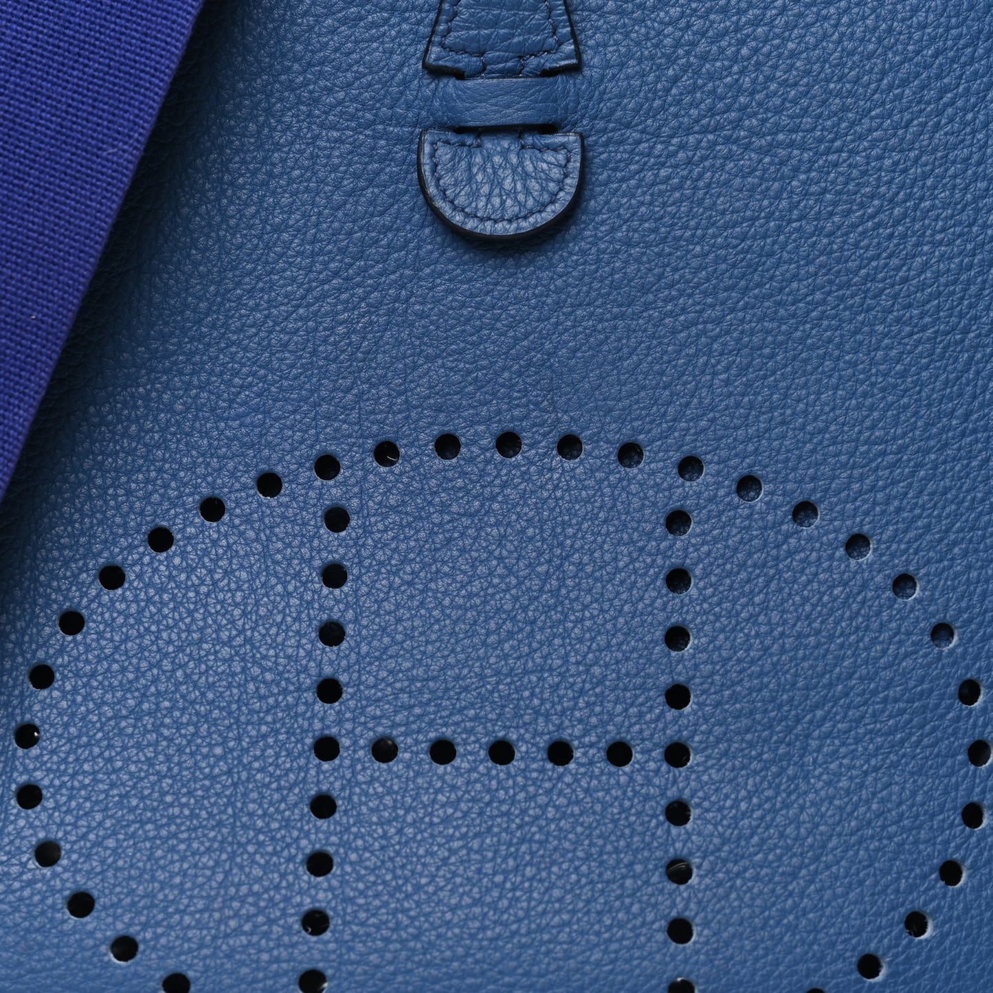 Taurillon Clemence Evelyne PM Bleu Brighton
