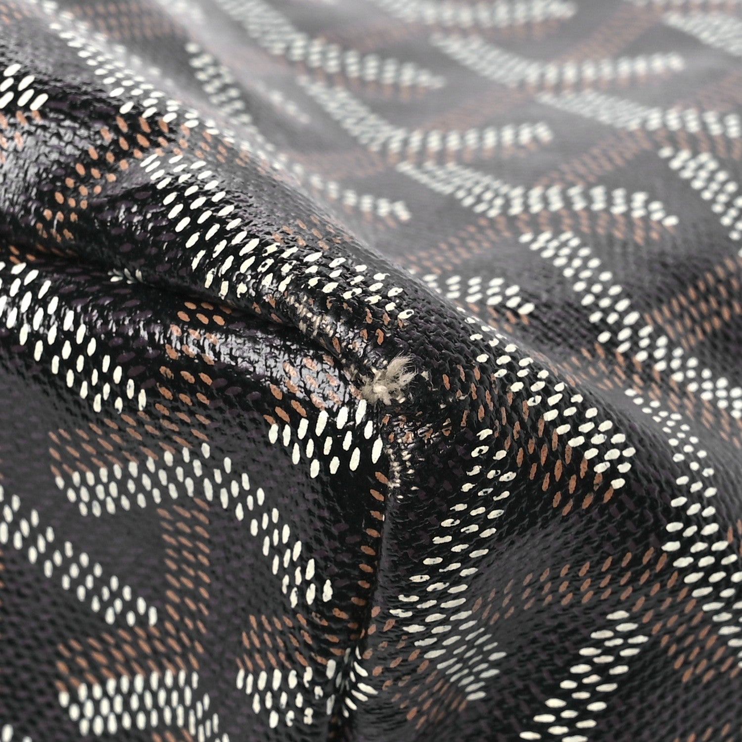 Goyard Goyardine Saint Louis PM Black 12 of 18