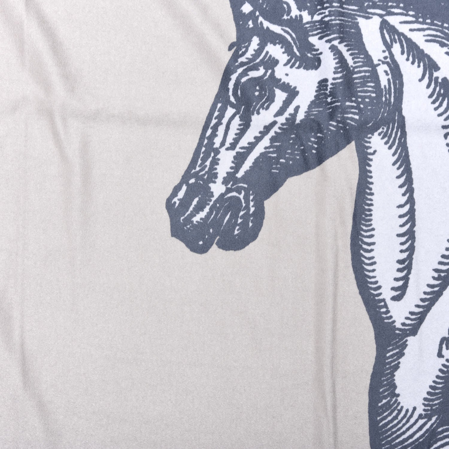 Hermes Cashmere Cheval Cosmique Blanket 3 of 4