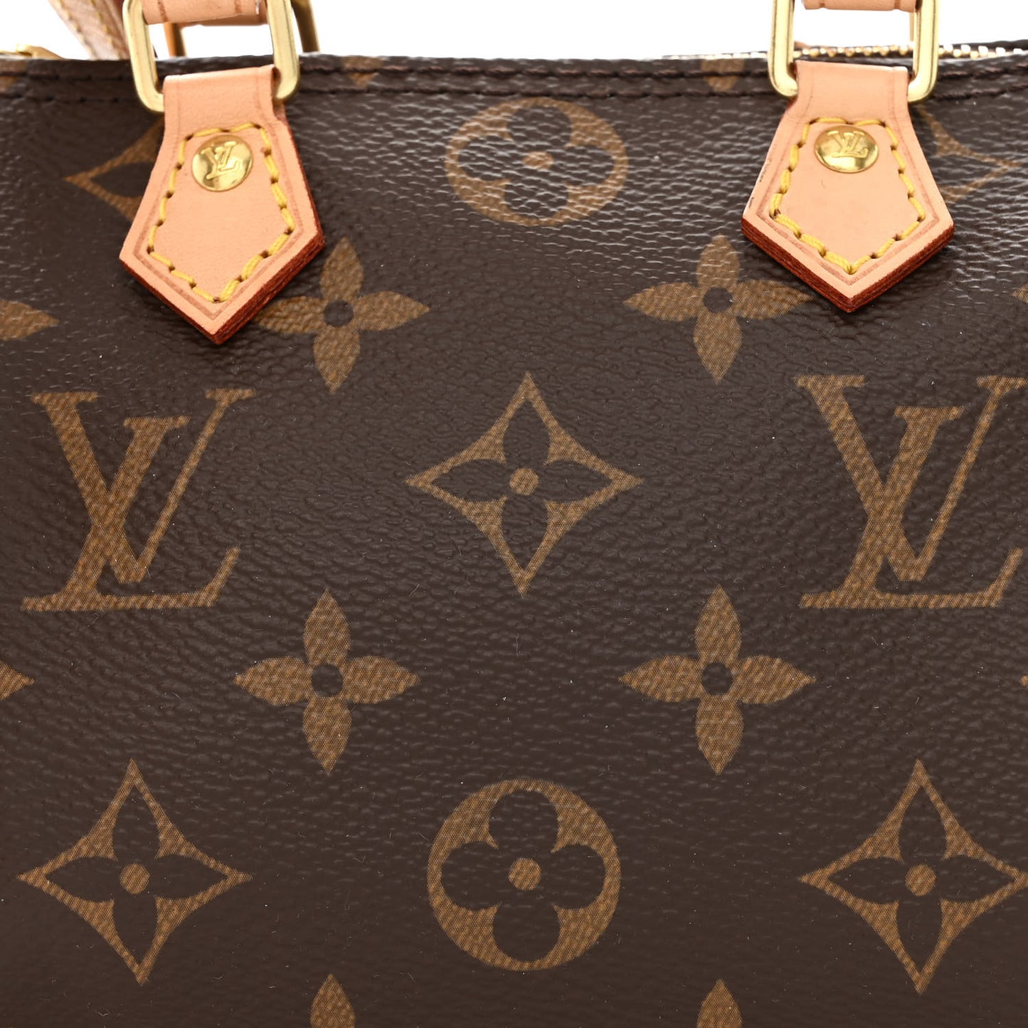 Monogram Nano Speedy