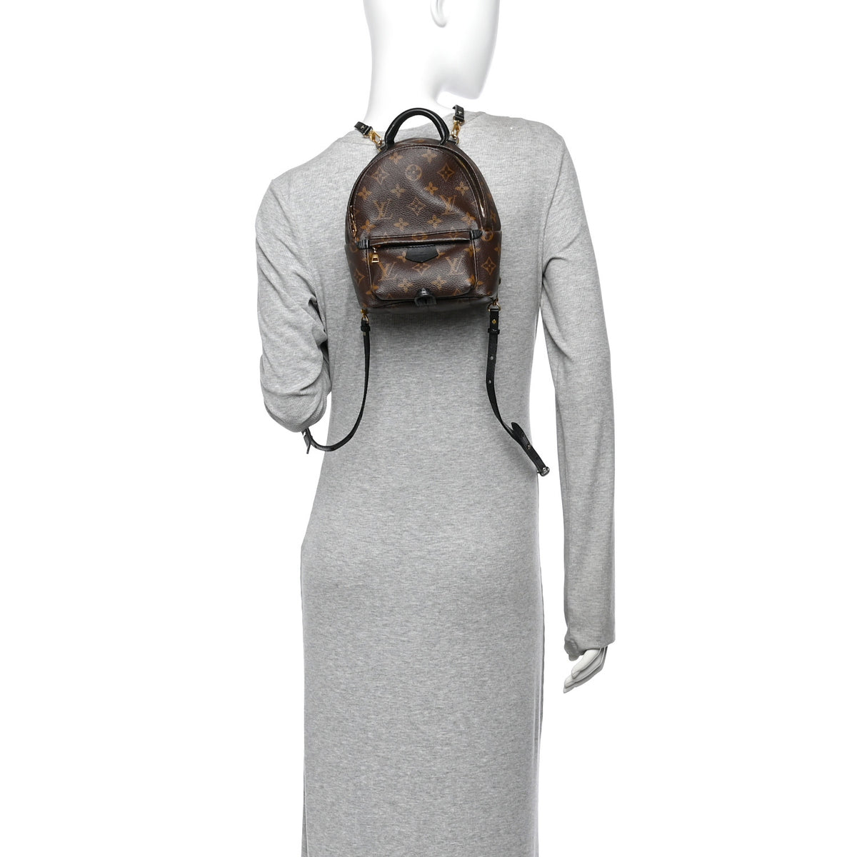 Louis Vuitton Monogram Palm Springs Backpack Mini 2 of 14