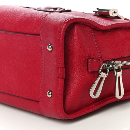 Loewe Goatskin Amazona Fuchsia 9 of 15