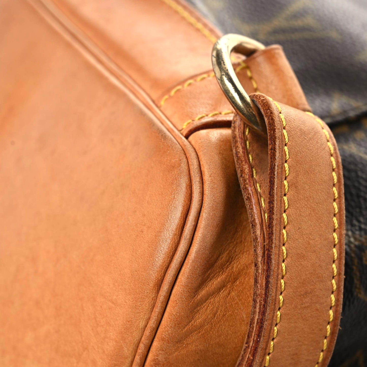 Monogram Montsouris GM Backpack
