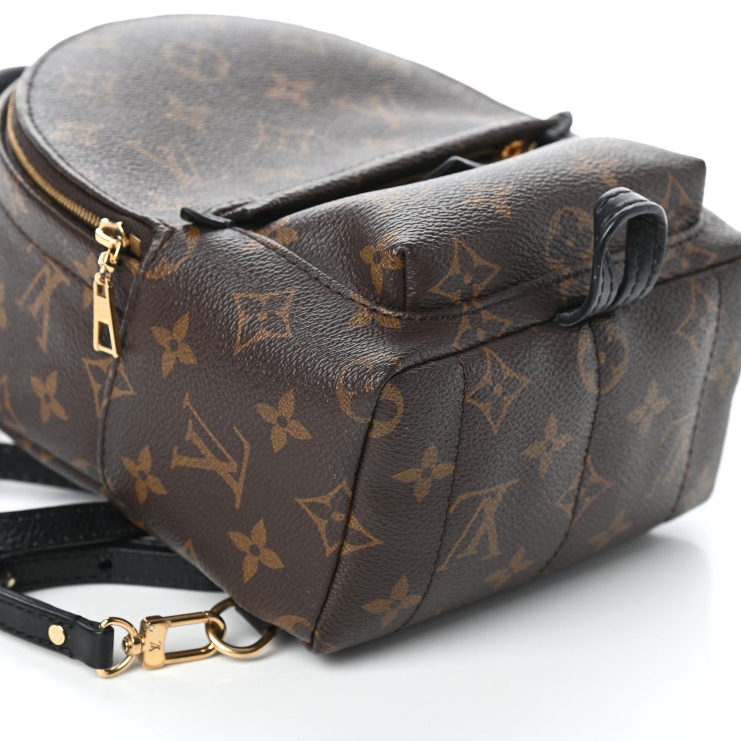 Monogram Palm Springs Backpack Mini