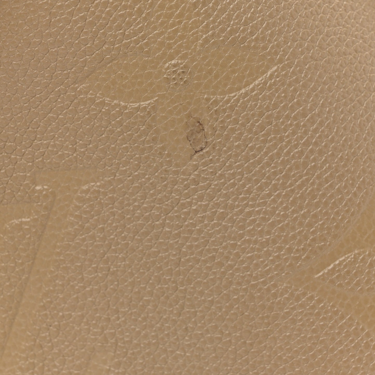 Empreinte Monogram Giant Neverfull MM Tourterelle