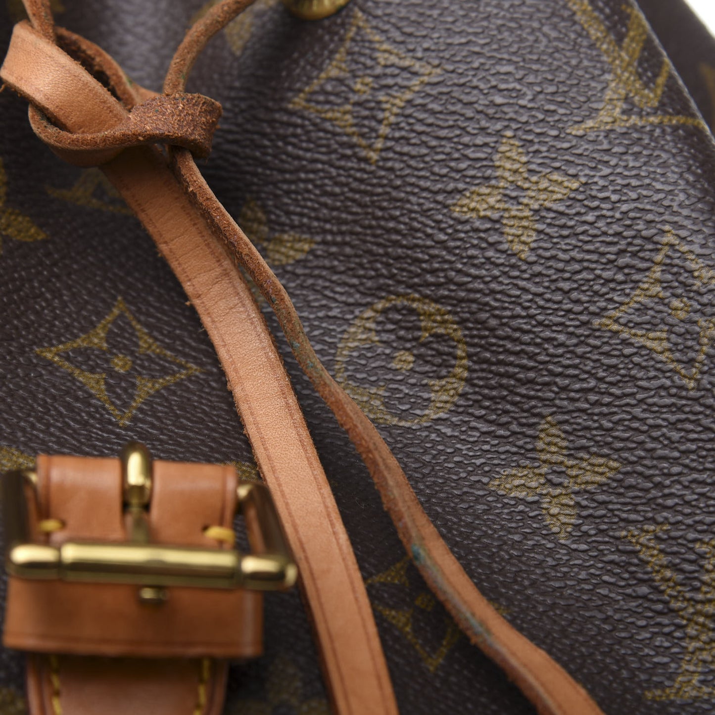 Monogram Montsouris GM Backpack